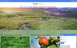 Eco Life 3 - Default layout