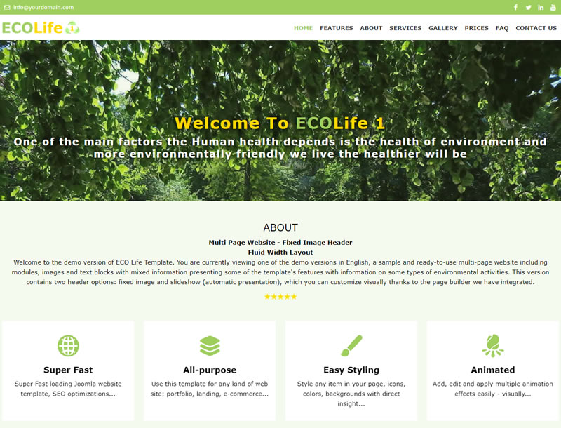 Website Design Template Eco Life 1